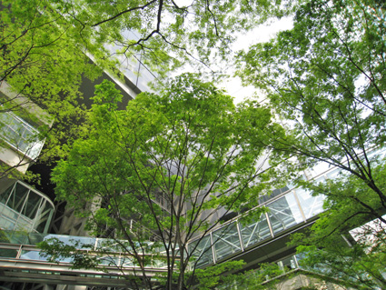 429_tif9.jpg