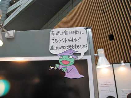 504_photo3.jpg