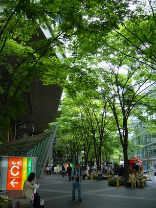omote.JPG