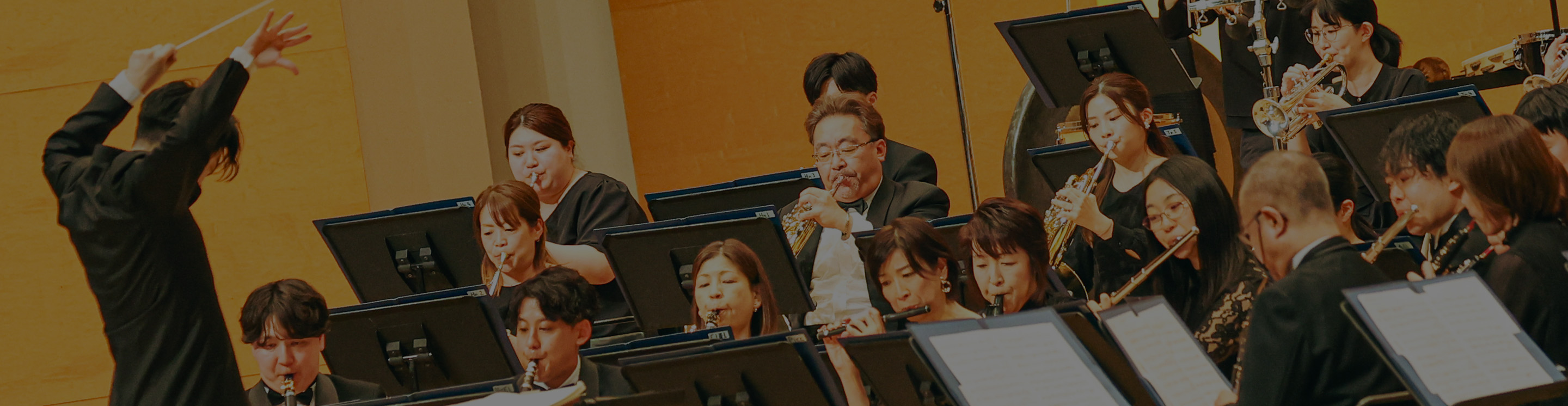 テーマと楽しみ方