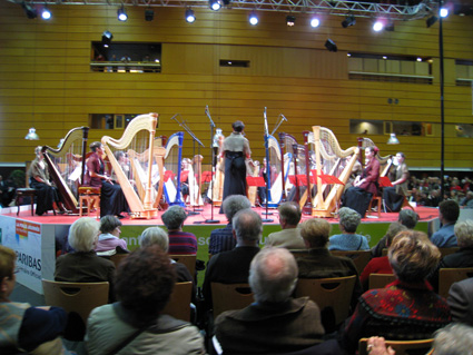 201_harp1.jpg