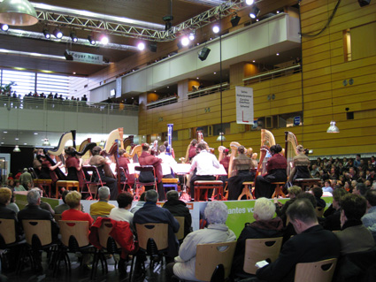 204_folle1.jpg