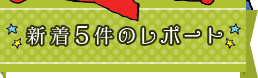 新着5件のレポート